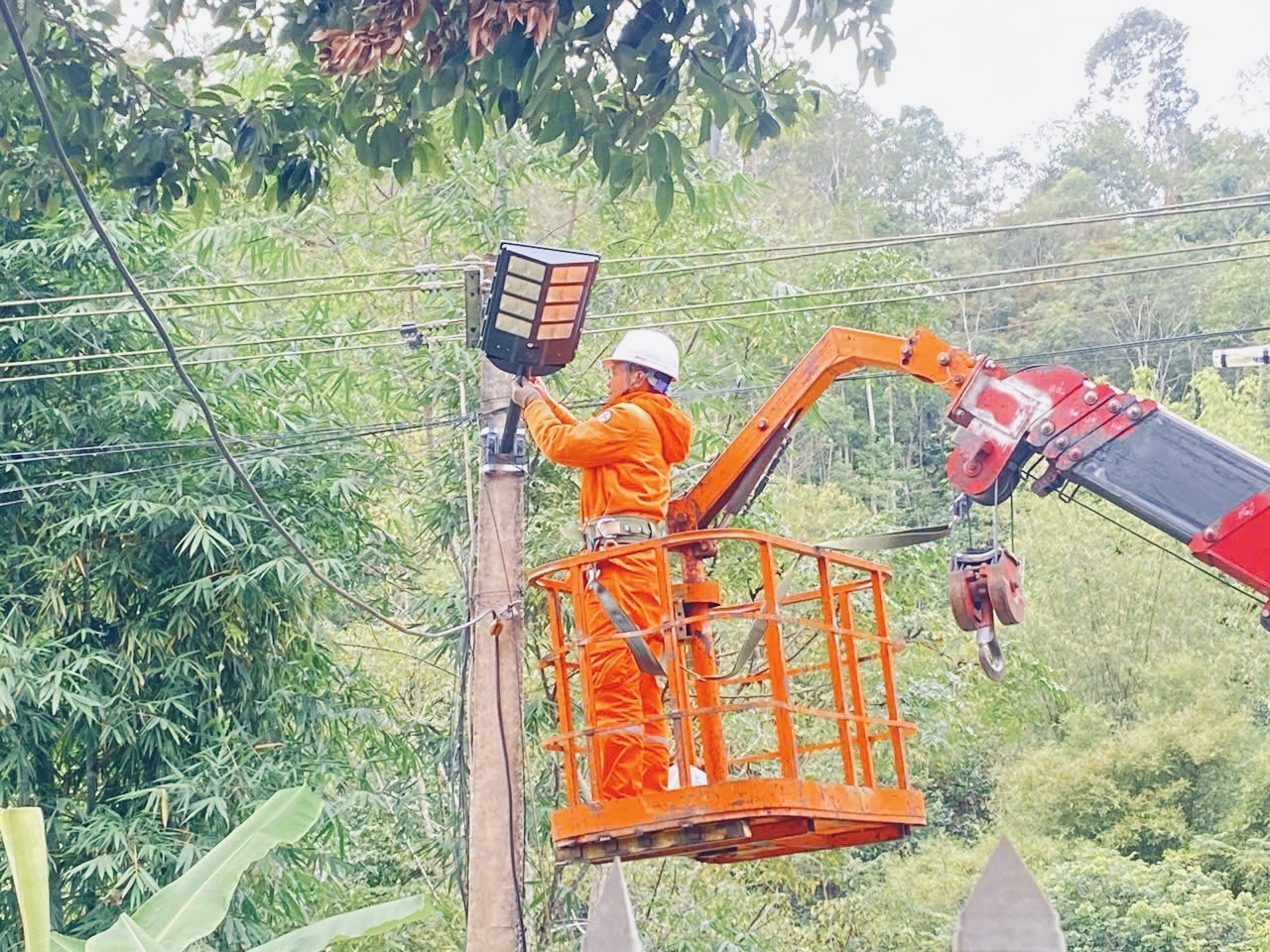 Công ty Điện lực Điện Biên triển khai các công trình thắp sáng đường quê.